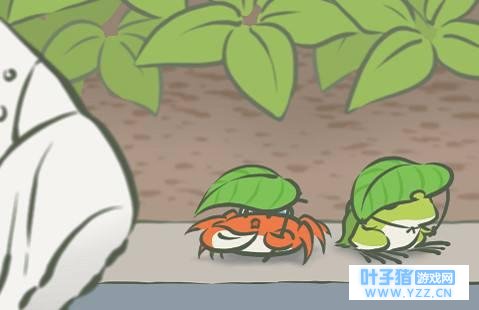 ������ϵ������������ܣ�Ϊʲô��ô��