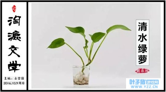 贺永粹:我与清水绿萝的小确幸