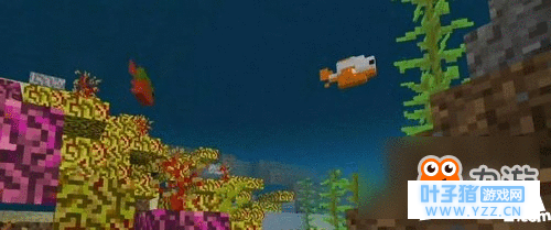 �ҵ���������ô�� �ҵ���������ʲô��