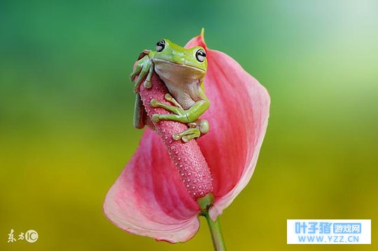 Ϊʲô��������Ը����������ȴ��Ը��������