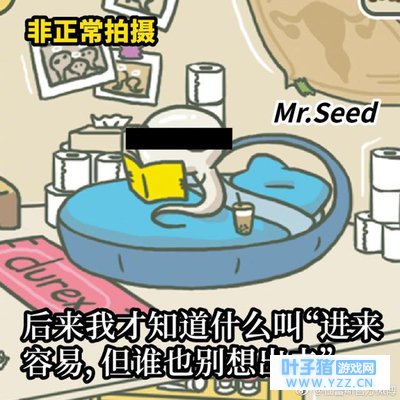 杜蕾斯文案又蹭热点?旅行蝌蚪什么时候能长