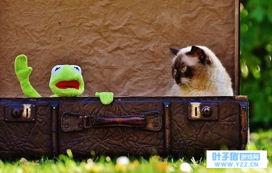 �㻹��Ϊ����Ԫ�ɶ��Ӳ���ʱ��11����������