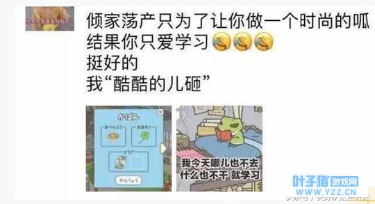 网友:因为养了一只蛙,我突然理解了爸妈!