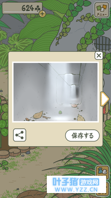 �������ҹ�Ĺ��¡�---����û�������ҹ��