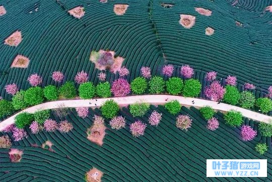 ���Ҵ��¡��й��ٶȡ�������ԭ�������¶ȣ�