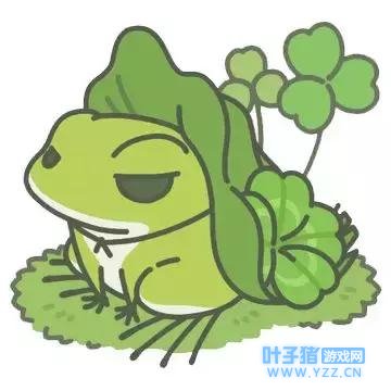 我的青蛙,都活成了我最想活的样子,去了我