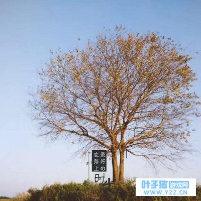 「世界很大而我很小」「旅游」广东鹤山古劳