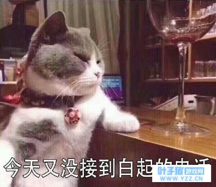 ��ֽƬ����һ�������� ��Ů�����β���ֻ��