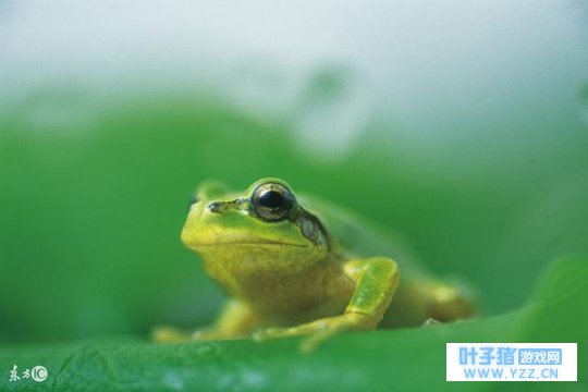 ���������ܡ��ä����� ������ܻؼ�����