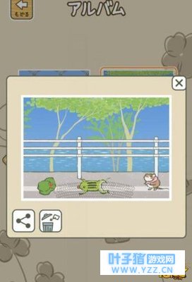 �������ܻ����� �������г��������������