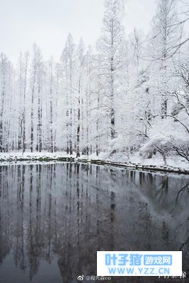 航拍视野:俯瞰杭州西湖雪景,不愧似南方姑