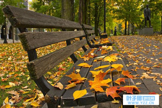 遇见,不在于时间的长短,只在于彼此的懂得