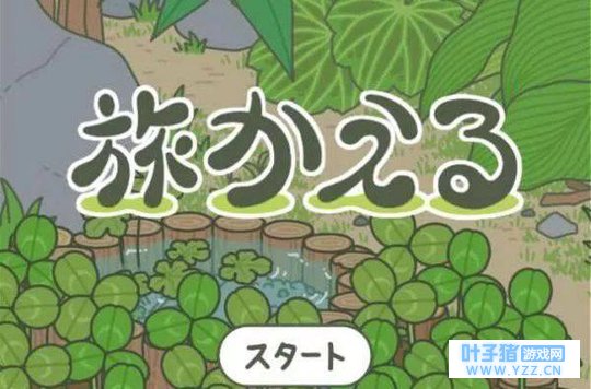 青蛙旅行丨送“呱娃子”去旅行,不只苟且,