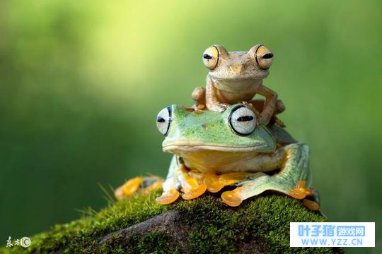 ���������ܡ�ΪʲôͻȻ�ͳ����й����ν��