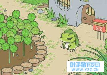 养娃不如养“蛙”一个心理学人的养“蛙”启