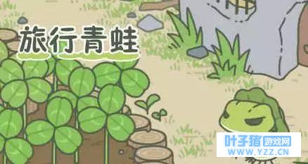 ���е�����ȥ�Ķ�������Щ����������Ƭ��¶