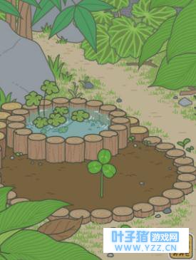 旅行青蛙三叶草多久可以长出来?旅行青蛙三