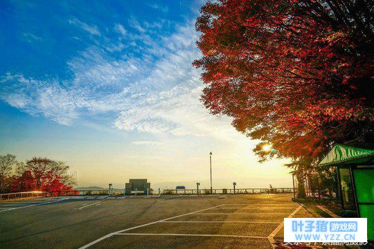 ������ʳ��ɽ����ʽ�����Ƶ꣬�������ܿ϶�