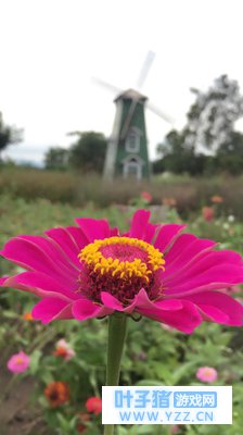 ���������߽��ҵ����磬���������������ҵ�