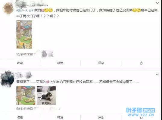 ���ر���������ܣ����������е������