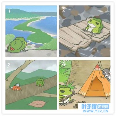 青蛙旅行:测测你适合养什么样的宠物?