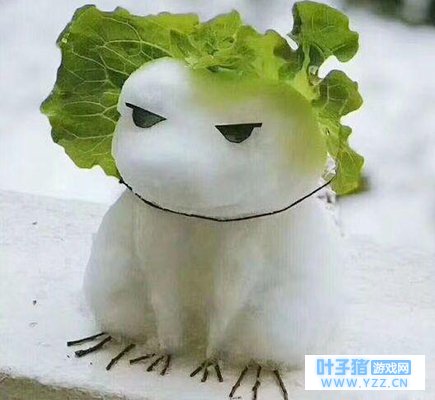 刷了屏的那只旅行青蛙, 原来有这么多不良习