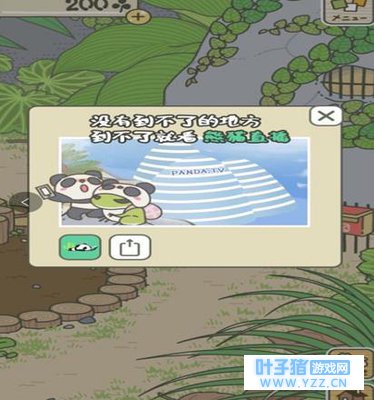 �������ܲ����ˣ����ģ�����������ڿ���è