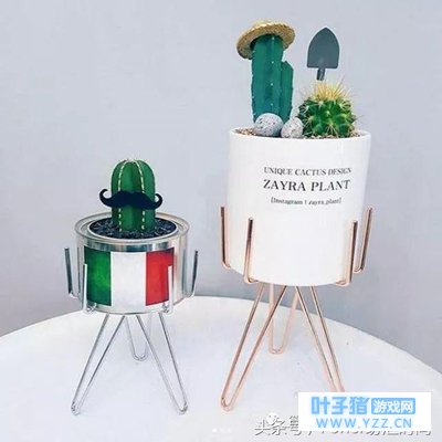 ��ЩС���ԣ�����̶�˦���������ܡ��ü���