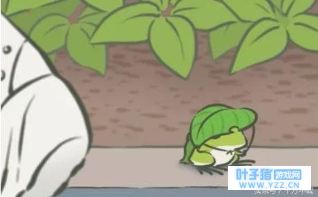 �������У�������Ϸ��Ů��Ϊ�ܲ������ģ���