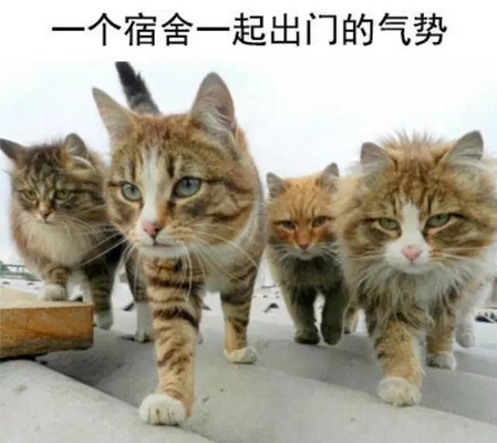 王者荣耀S10赛季来了,你被公孙离小姐姐支