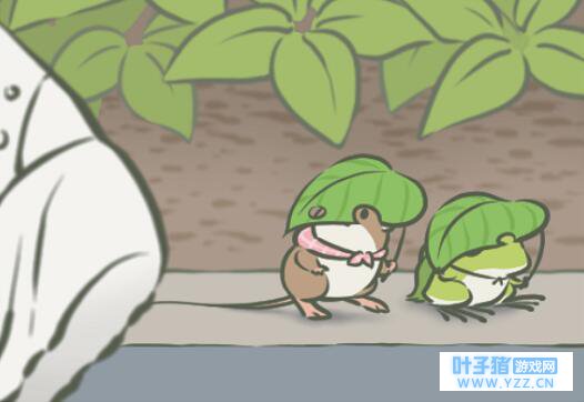 文玩人都在养“蛙儿子”的好友?竟还养出了