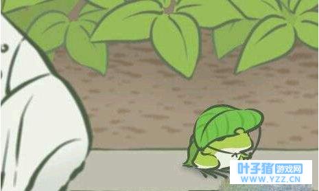 旅行青蛙蜗牛吃什么?旅行青蛙蜗牛喂养攻略