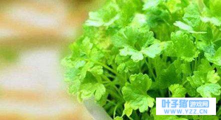 ����������ֻʣ����4�֡����ߡ����һ�ѡ��