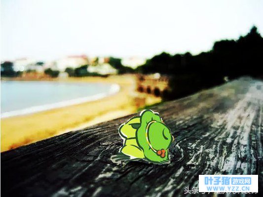 厉害了我的呱娃子,青蛙儿子整天不回家竟然