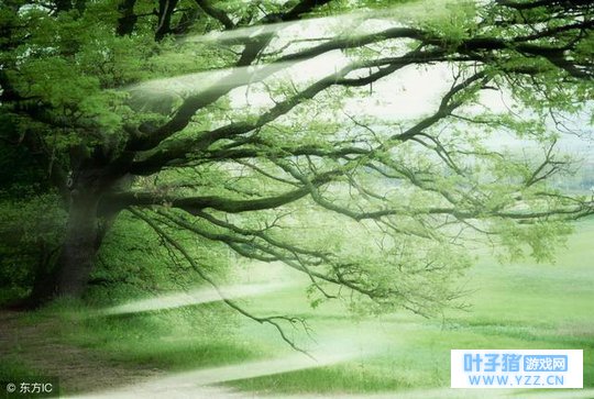 ����������ǿ����������������������ܻ