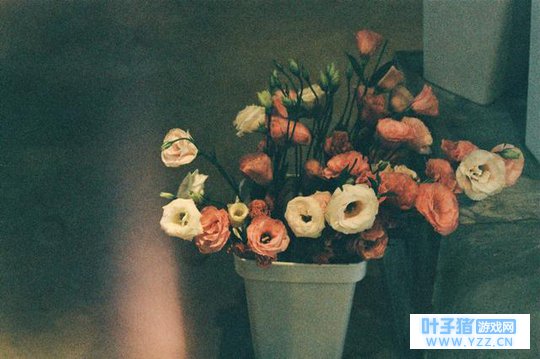 如果有一天,我从你的世界消失了