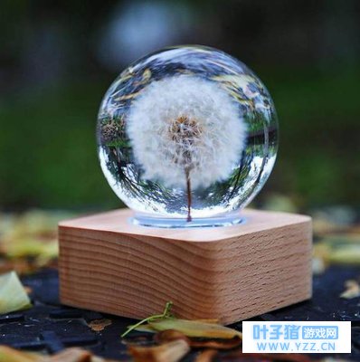 ѡһ��ˮ���򣬲������ٻ�����λ���ӣ�����