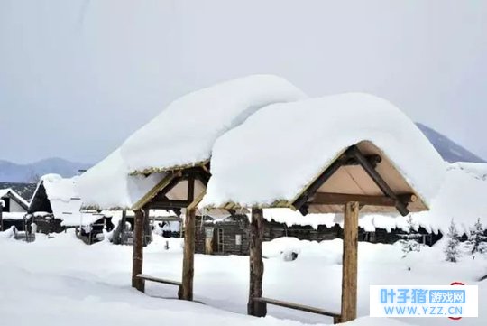 �������ź�ȥ��,��ס��ľ��ѩľ�ݣ�����ͼ