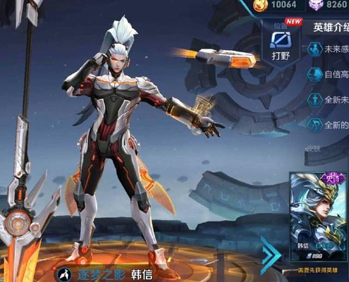 王者荣耀:告诉你们一个好消息,韩信的孪生