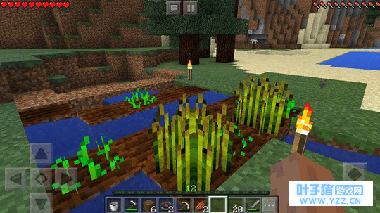 我的世界怎么快速获得小麦 没有小麦怎么办