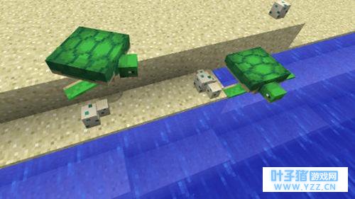 �ҵ����纣�����ô��?�������ʲô��