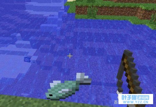 《我的世界》MC生鱼基本知识汇总(关于获取