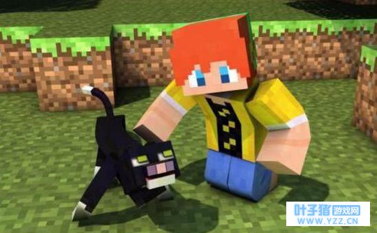 如果《我的世界》中怪物可以驯服, 你想抓哪