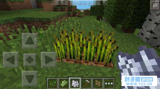 《我的世界》游戏中小麦很重要,你知道吗?