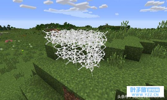 ���ҵ����硷֩����������ô���ô�  ѧ���