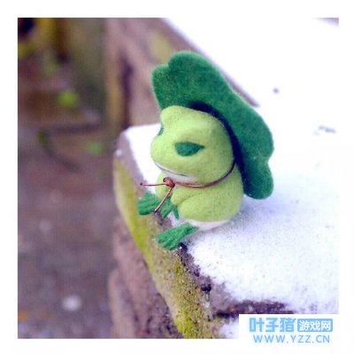 《漫优堂》旅行的青蛙,娃儿子愿你出走半生