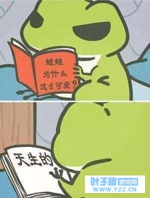 谁说蛙儿子过气了 马云当爸爸阿里当靠山旅