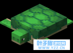 �ҵ����纣����� �����������