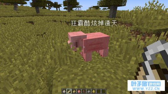 《我的世界》命名牌,名字炫酷的小猪,村民