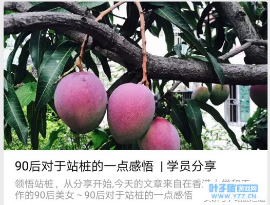 ����׷���ٳɵ���������˵��վ׮����������